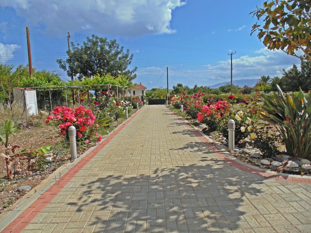 Eliofos Luxury Villa Polis Extérieur photo