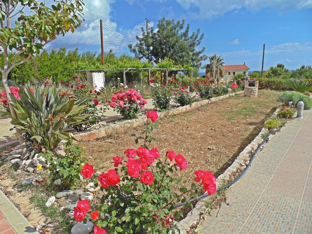 Eliofos Luxury Villa Polis Extérieur photo