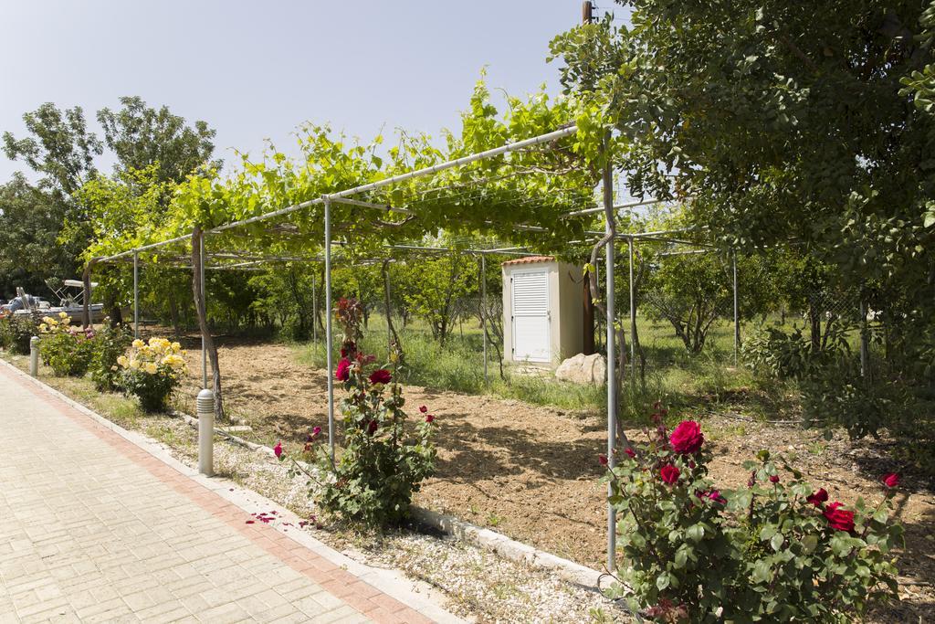 Eliofos Luxury Villa Polis Extérieur photo