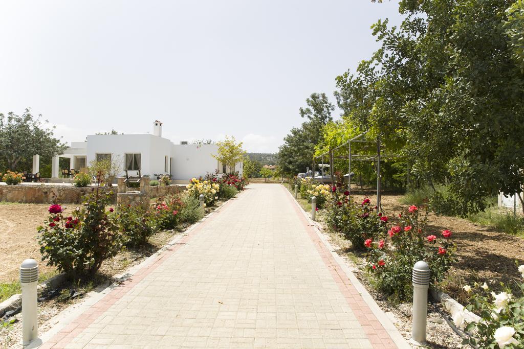 Eliofos Luxury Villa Polis Extérieur photo
