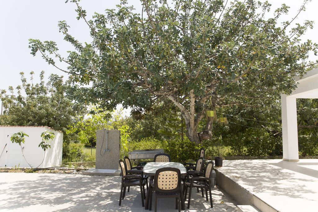 Eliofos Luxury Villa Polis Extérieur photo